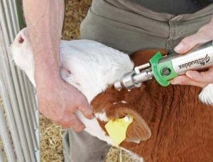 Роговыжигатель GasBuddex — изображение 5