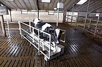 Автоматическая ванна для копыт Vink — изображение 2