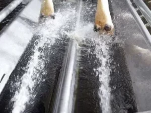 Автоматическая ванна для копыт Vink