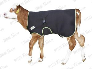 одеяло для телят