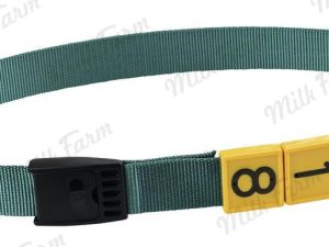 маркировочный ошейник