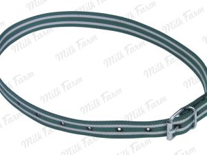 Маркировочный ошейник