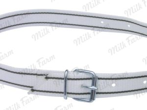 Маркировочный ошейник