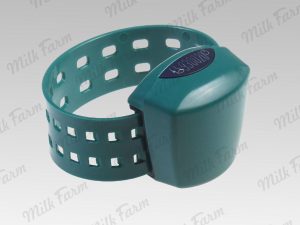 Рескаунтер