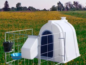 индивидуальный домик для телят