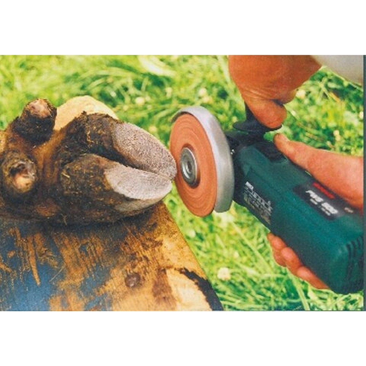 Диск для обработки копыт высокого качества, редкое нанесение — изображение 2