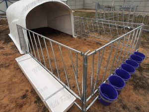 групповой домик для телят